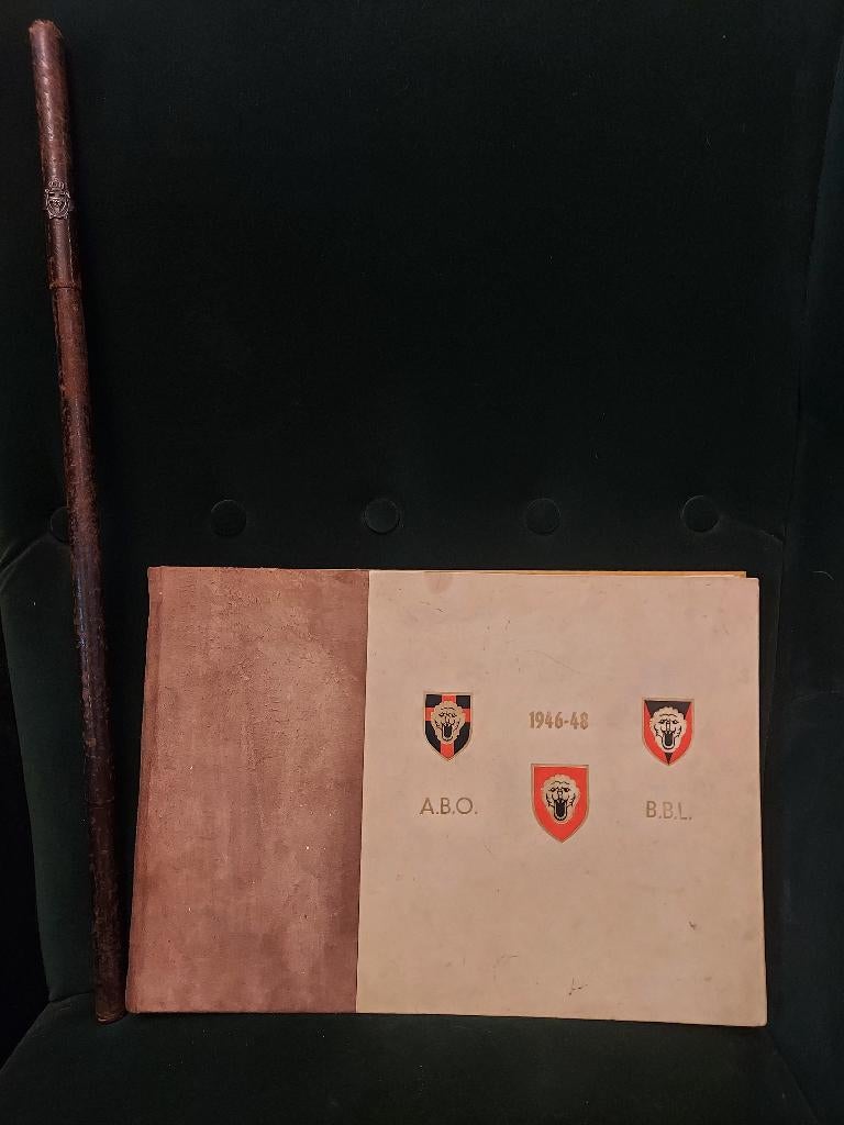 Set officiersstok + boek Belgische bezettingsmacht Duitsland, Ophalen of Verzenden, Landmacht, Duitsland, Boek of Tijdschrift
