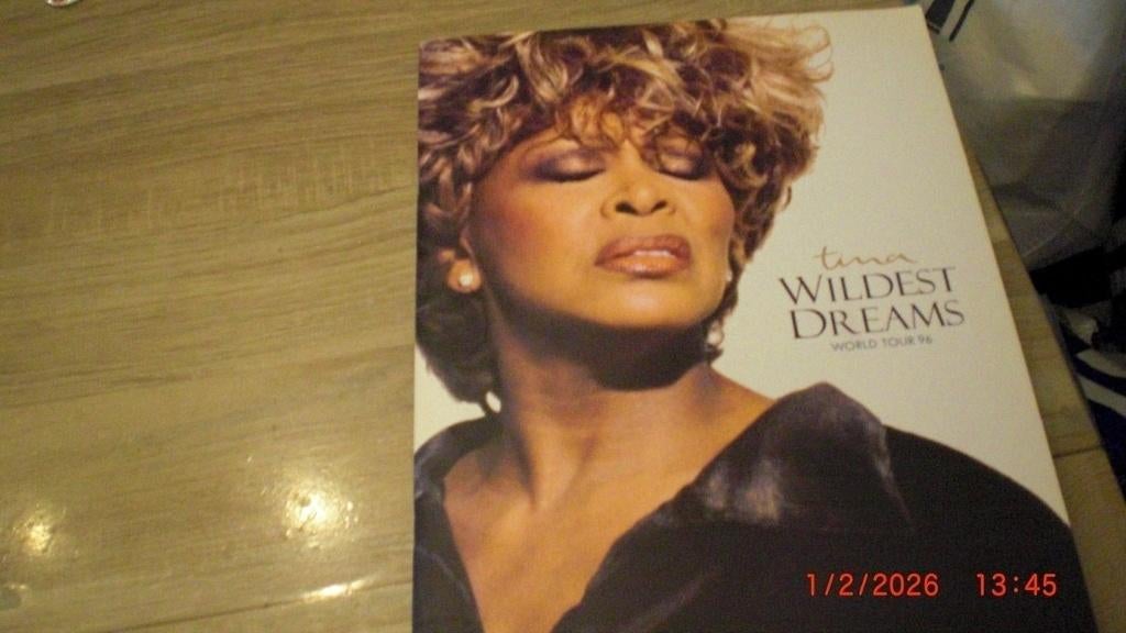 Tina Turner concert kaartje programma Poster/ Special, Ophalen of Verzenden, Zo goed als nieuw, Poster, Artwork of Schilderij