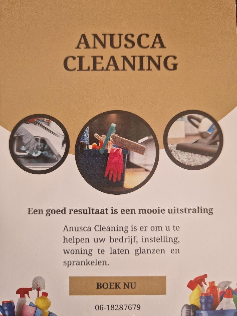 Schoonmaakster, Diensten en Vakmensen, Huishoudelijke hulp, Schoonmaken, Strijken