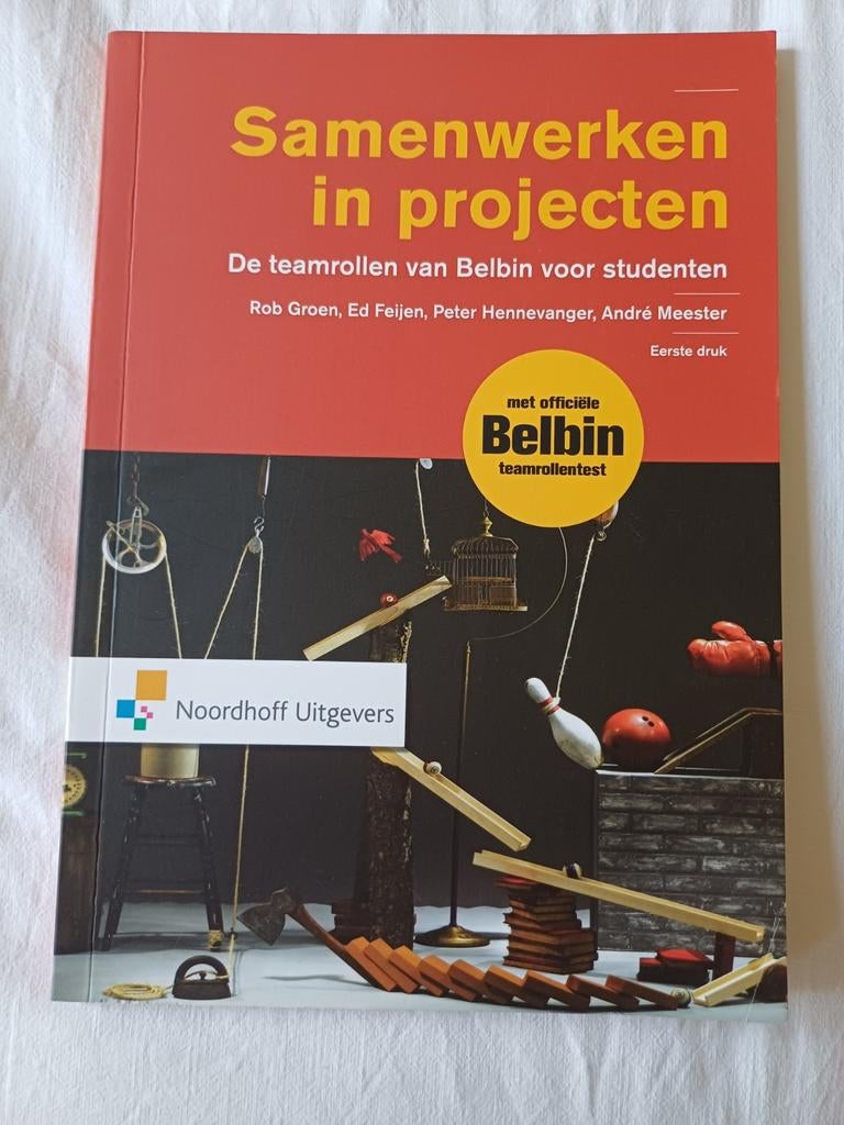 Ed Feijen - Samenwerken in projecten, Ed Feijen; André Meester; Peter Hennevanger; Rob Groen, Sociale wetenschap, Ophalen of Verzenden