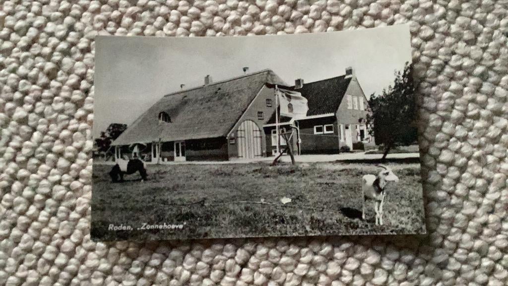 Ansichtkaart Roden “Zonnehoeve” 1969. 939, Ophalen of Verzenden, 1960 tot 1980, Gelopen, Drenthe