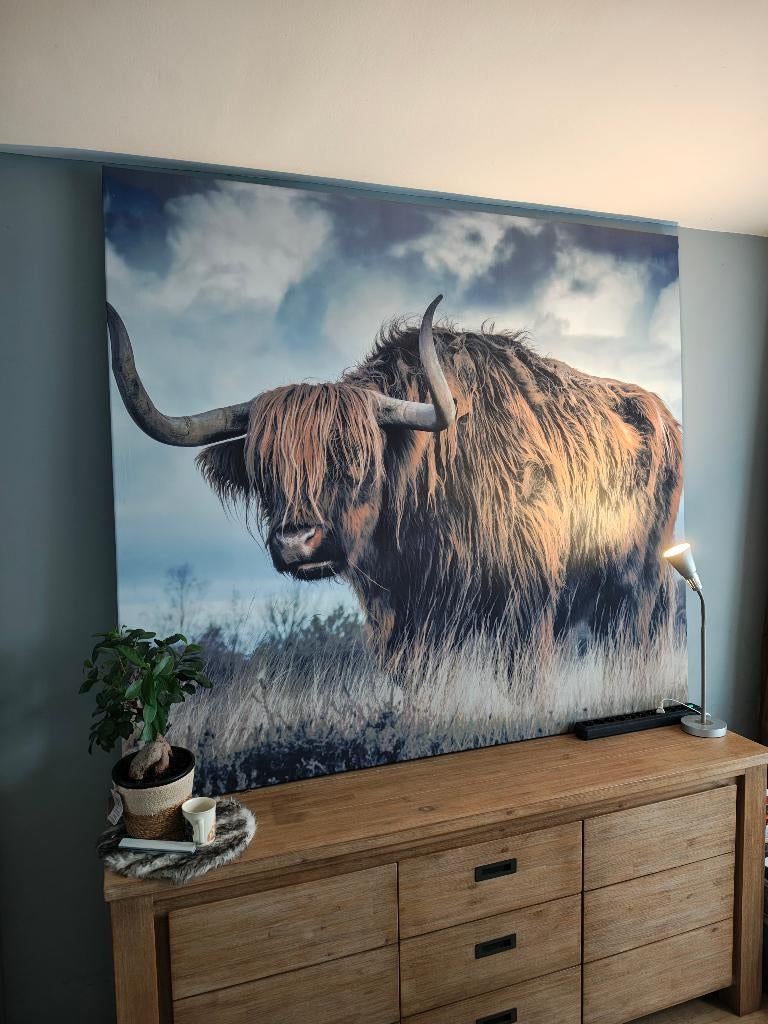Groot (canvas)doek met Schotse Hooglander, Ophalen, Zo goed als nieuw