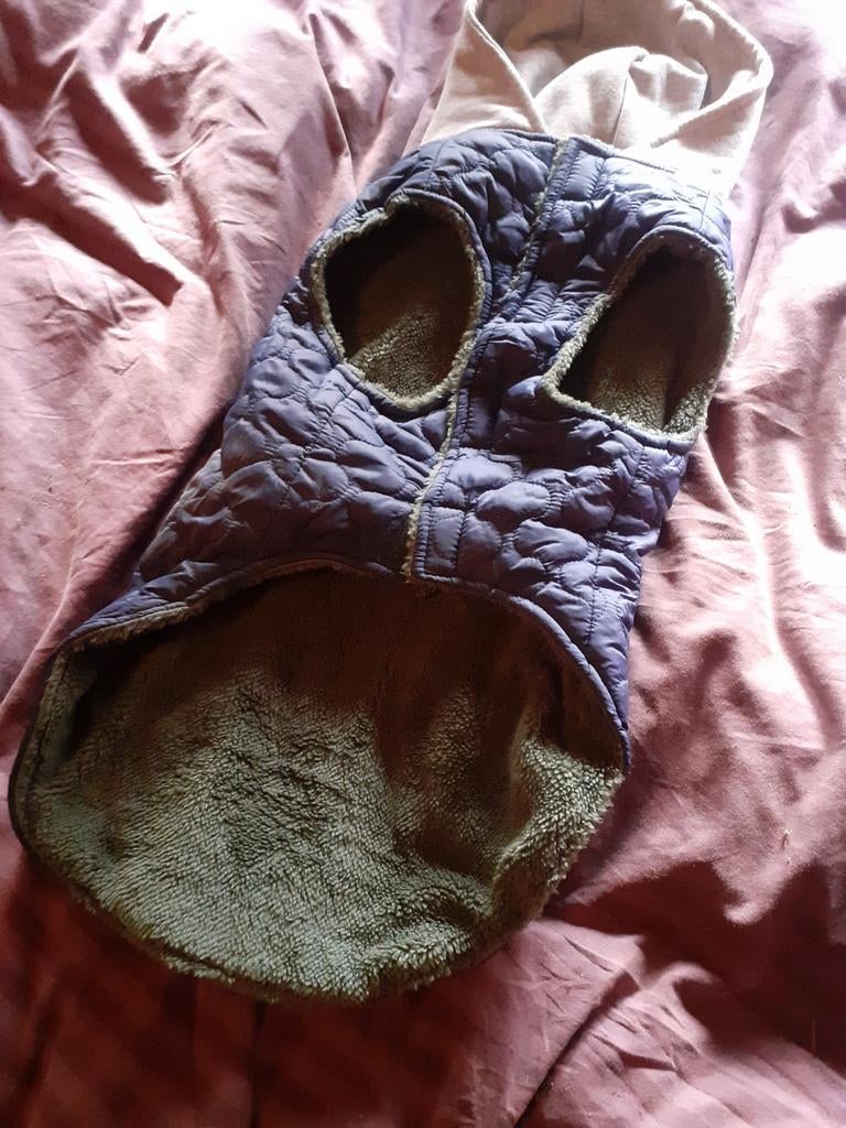 Honden jas, Dieren en Toebehoren, Ophalen of Verzenden, Nieuw, Hondenjas