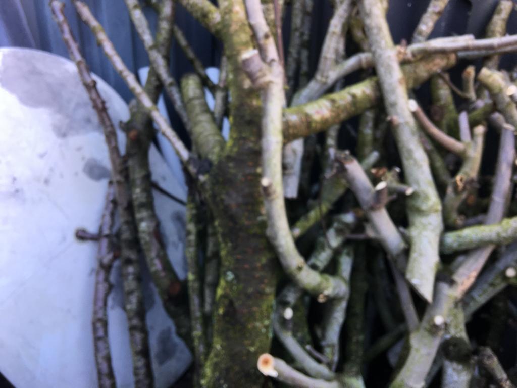 Brandhout, Tuin en Terras, Haardhout, Minder dan 3 m³, Ophalen