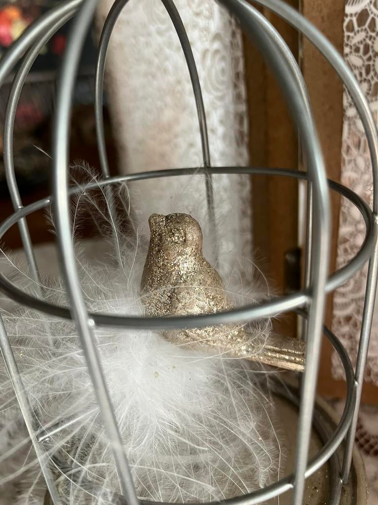 Snoezig klein vogelkooitje, Ophalen of Verzenden