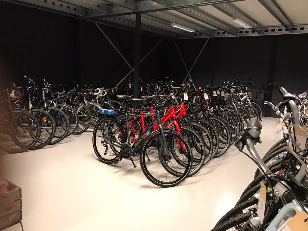 Diverse GIANT Allure damesfietsen Beltdrive (Showroommodel), Ophalen of Verzenden, Nieuw, Giant, Versnellingen