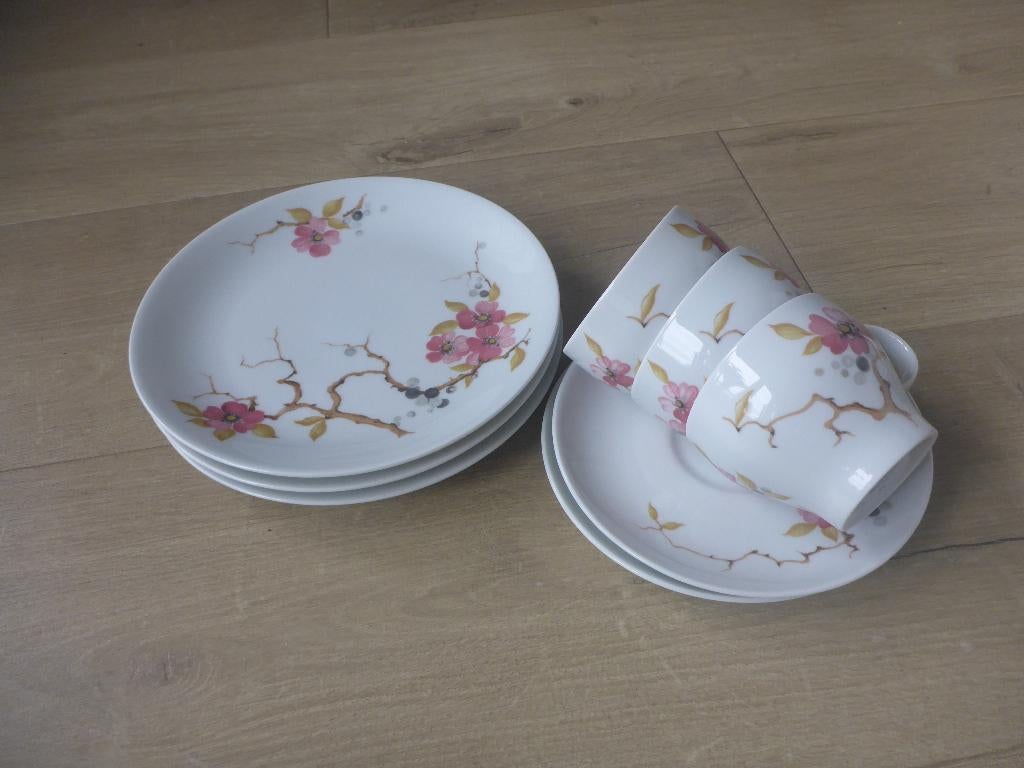 retro serviesdelen arzberg met rose bloemen., Overige typen, Ophalen of Verzenden, Zo goed als nieuw, Overige stijlen