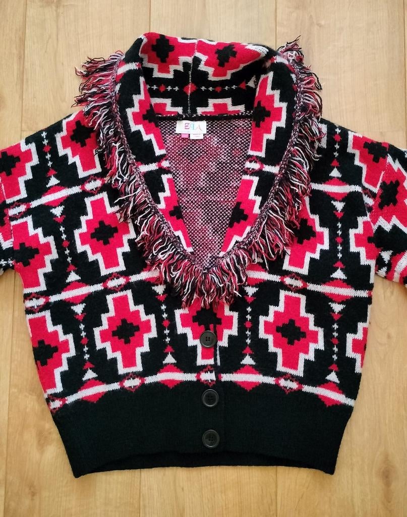 Bijzonder mooi en dik vest met sierlijke franjes!! (NIEUW!), Ophalen of Verzenden, Nieuw, Maat 36 (S)