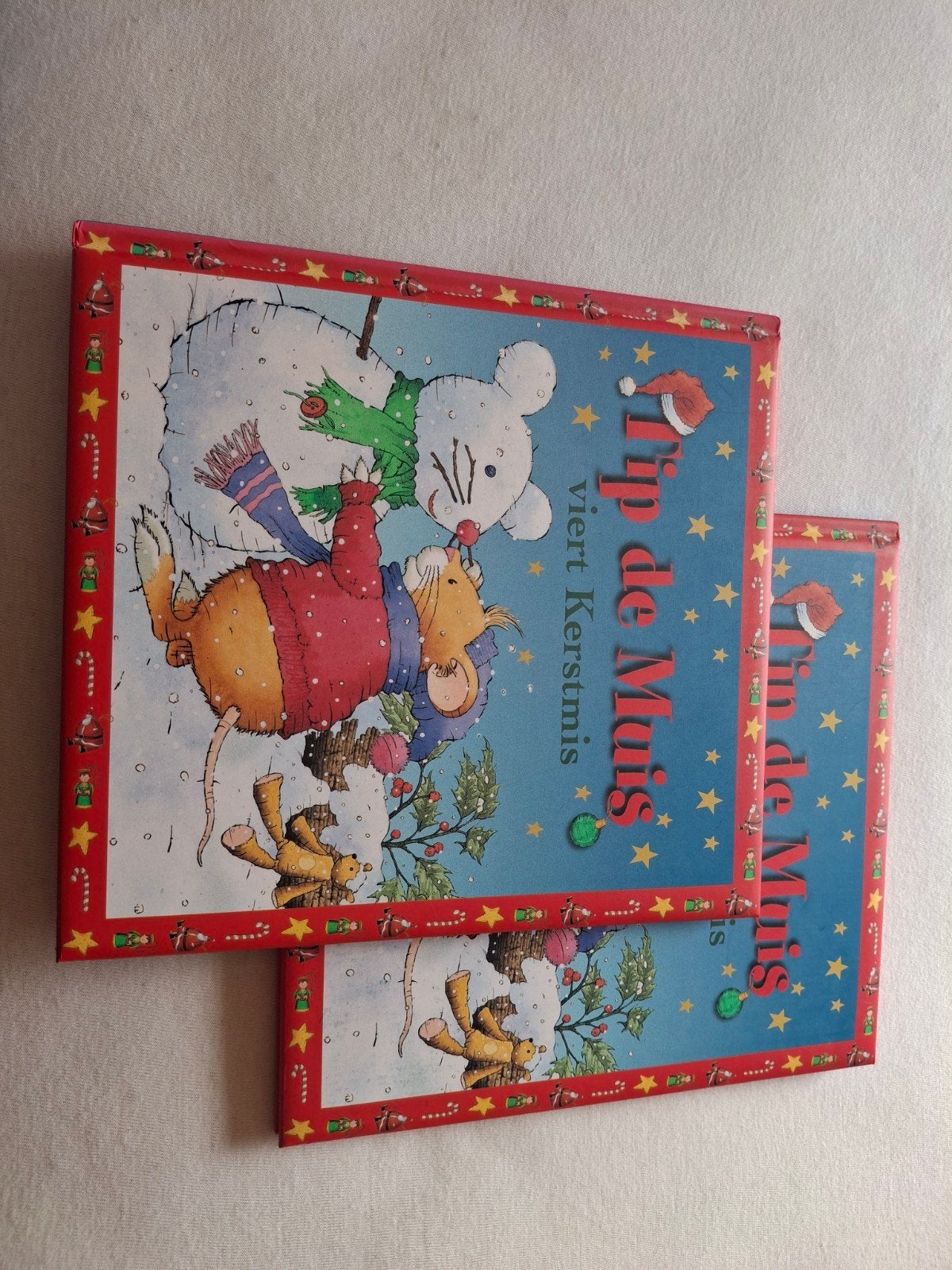 Tip de Muis viert Kerstmis - Kinderboek, Ophalen of Verzenden, Zo goed als nieuw, Anna Casalis, 2 tot 3 jaar