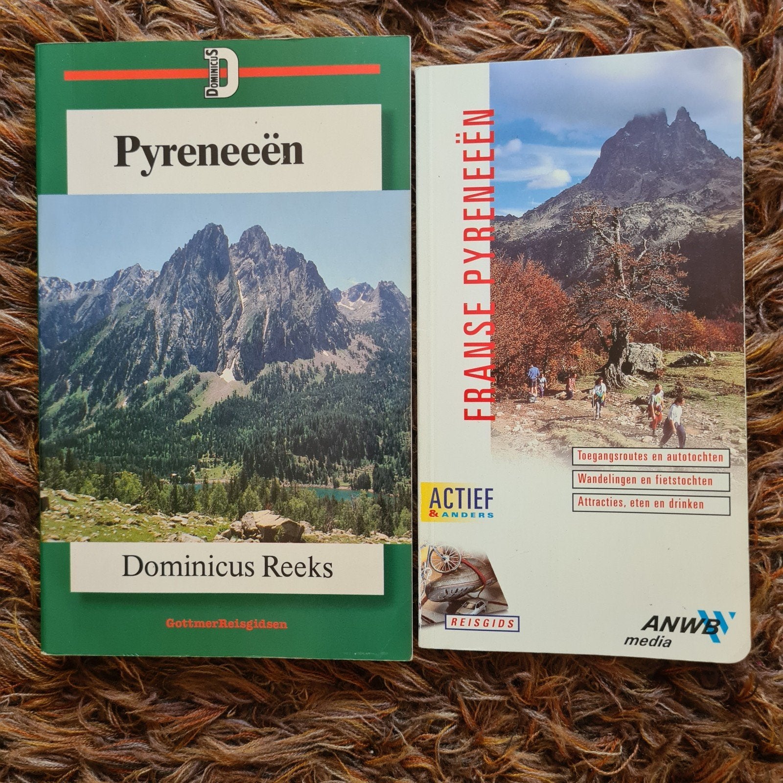 Pakketje Pyreneeën, Boeken, Reisgidsen, Europa, Ophalen of Verzenden, Reisgids of -boek, Gelezen