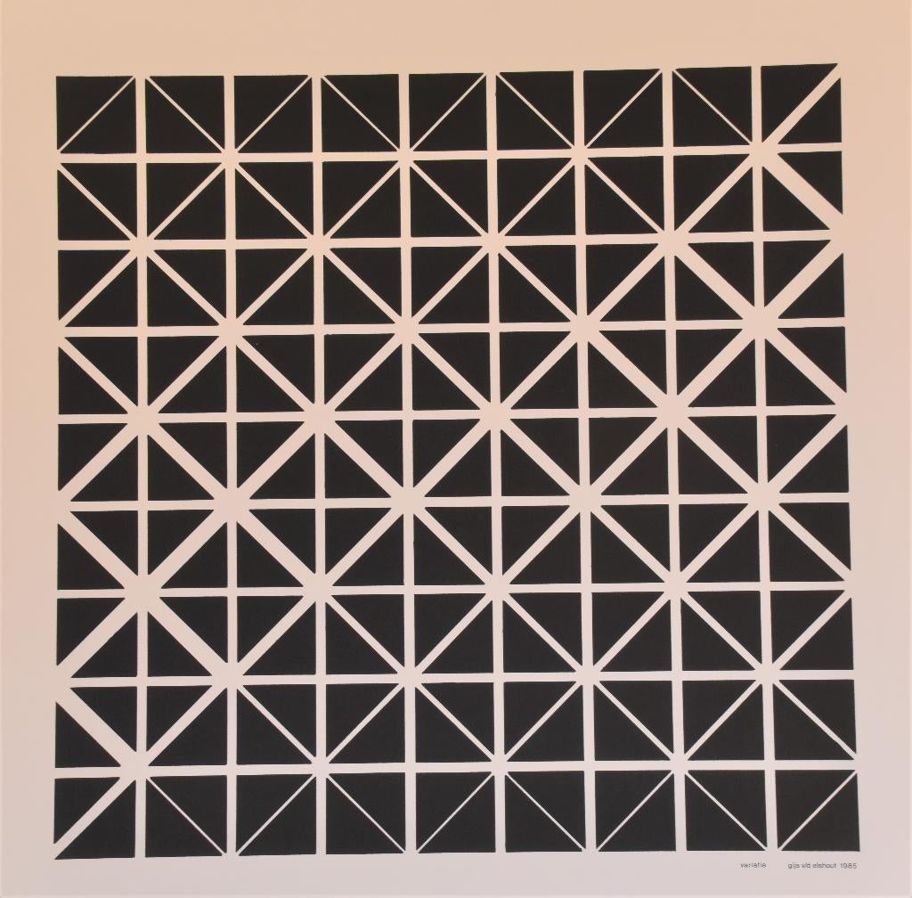 zeefdruk, Antiek en Kunst, Kunst | Litho's en Zeefdrukken, Ophalen