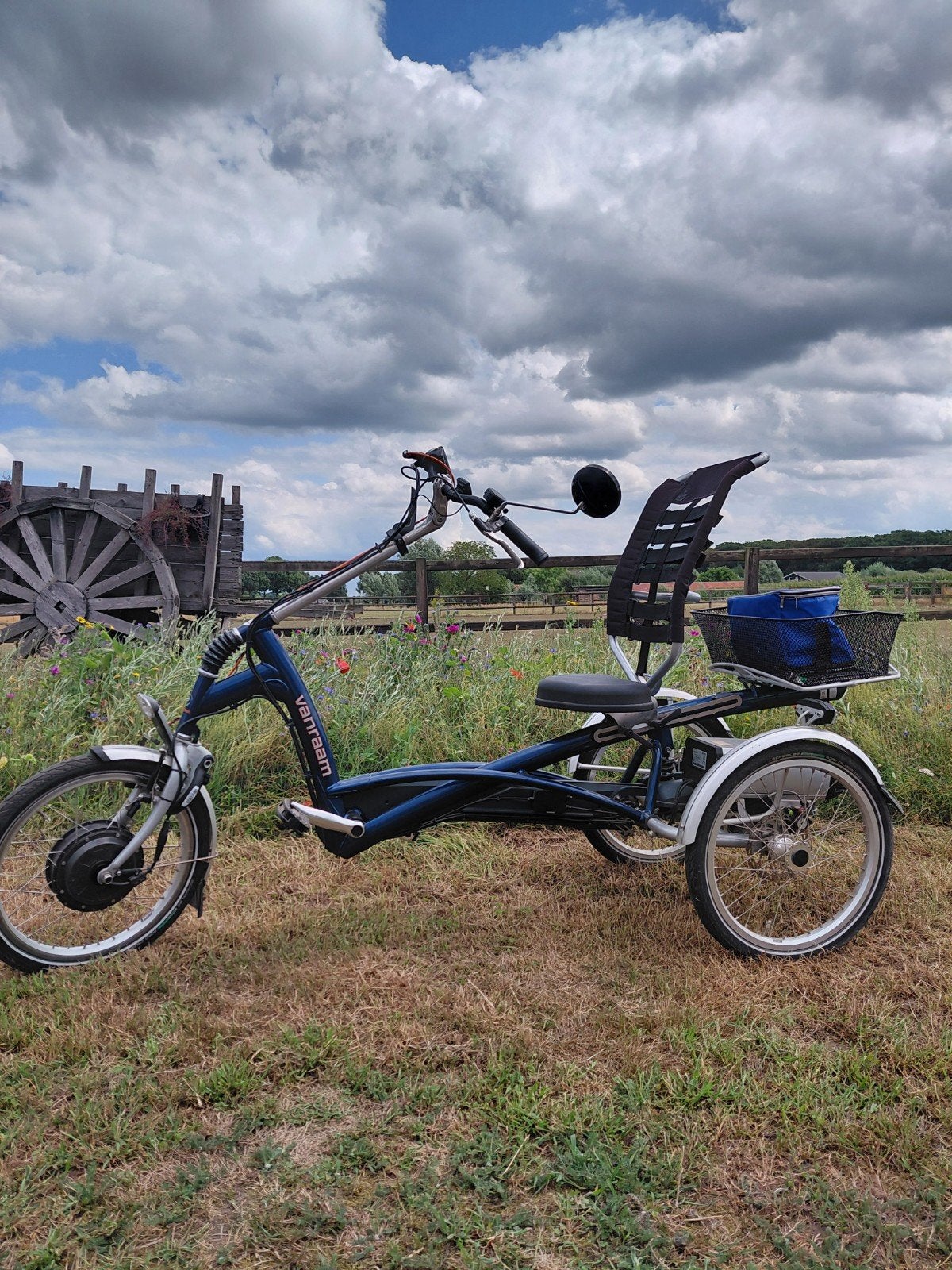 v Raam Easyrider driewieler, Ophalen, Gebruikt