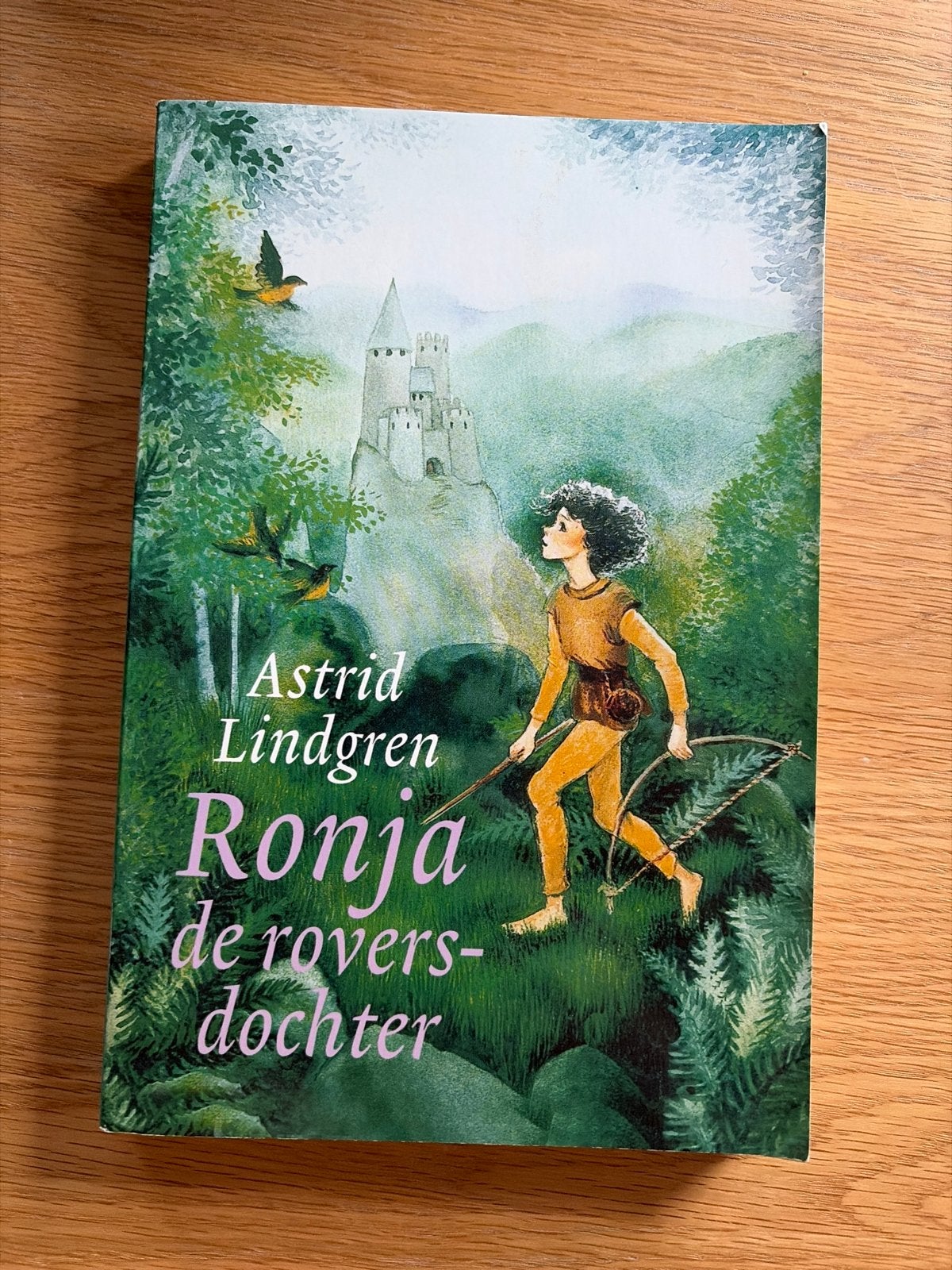 Ronja de roversdochter - Astrid Lindgren, Ophalen of Verzenden, Gelezen, Fictie