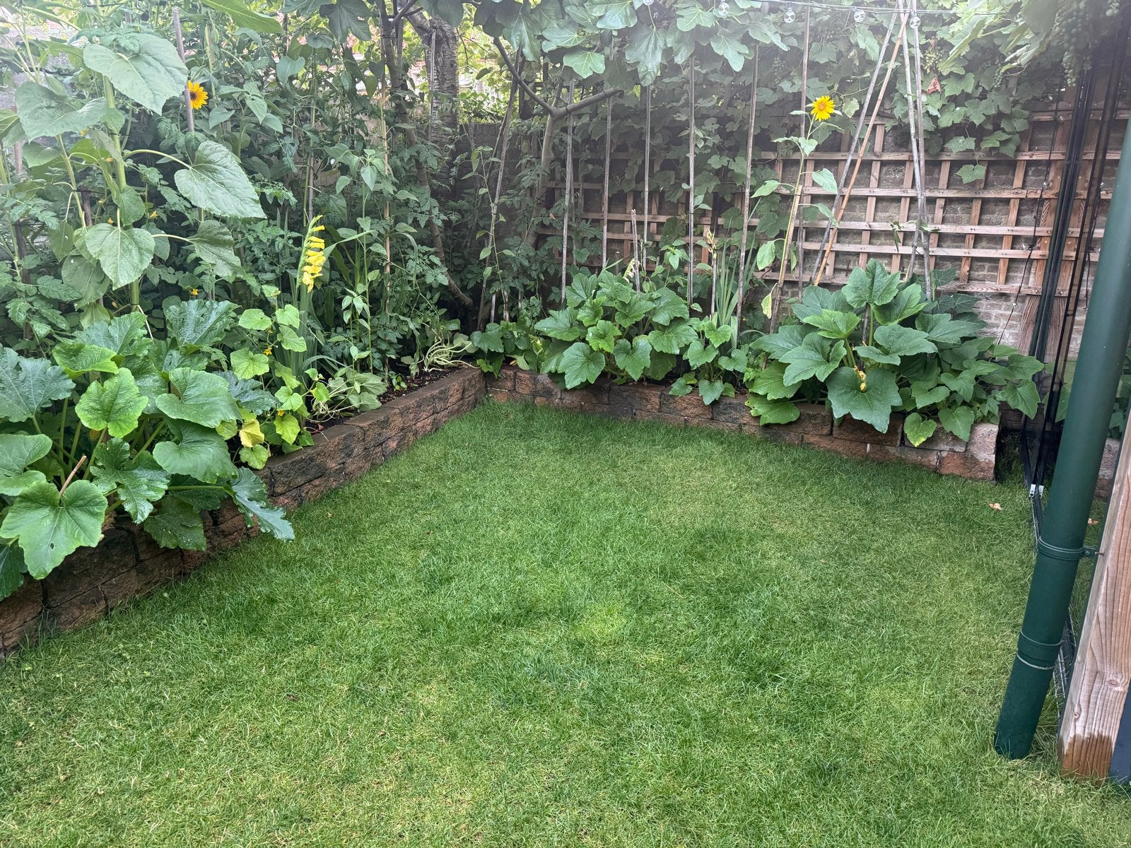 77 stenen voor tuinrand of border, Tuin en Terras, Overige materialen, Gebruikt, Overige typen, Ophalen of Verzenden