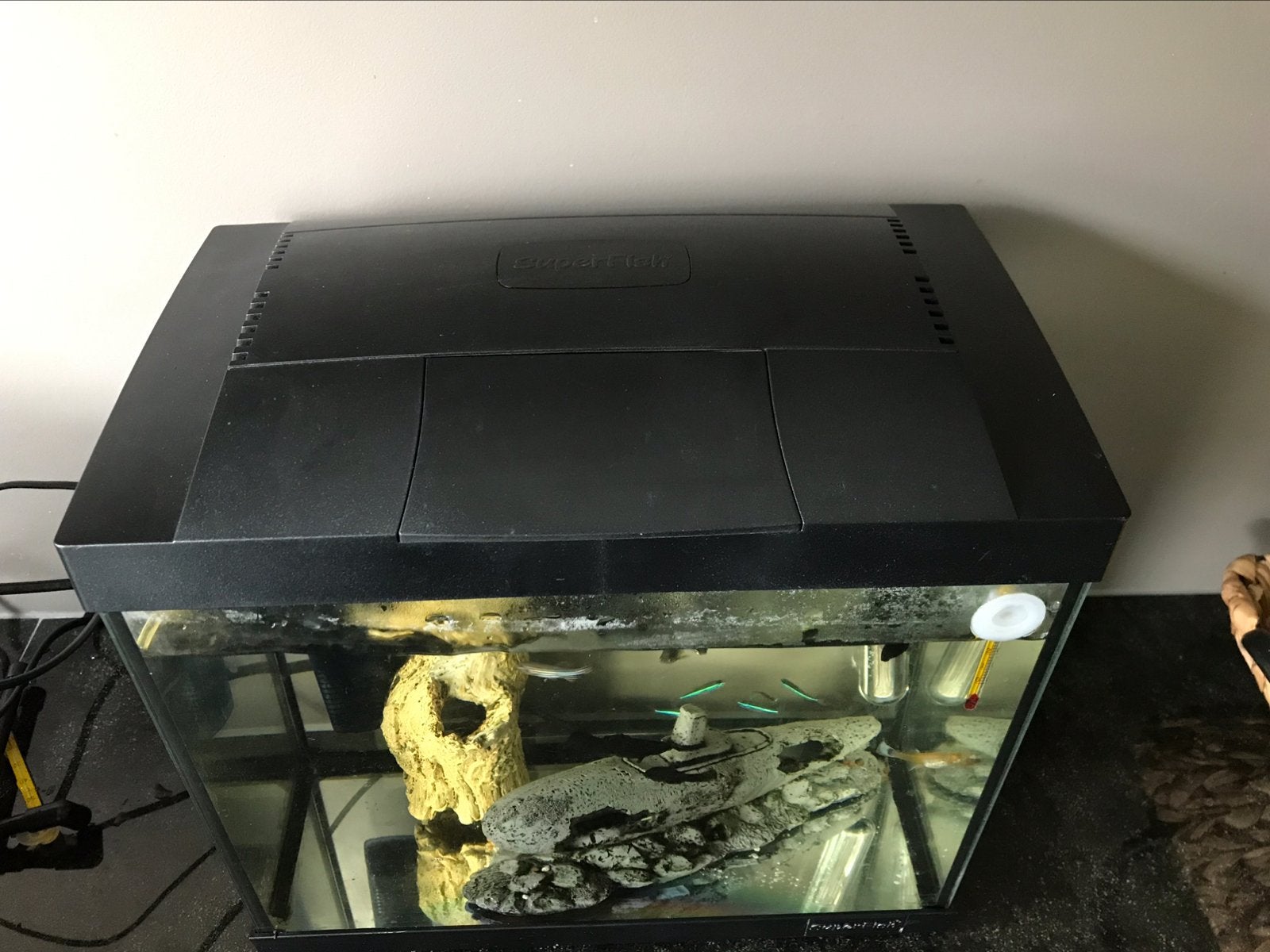 Superfish Start20 zonder led-verlichting, met kap, Ophalen of Verzenden, Gebruikt, Leeg aquarium