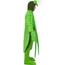 Sprinkhaan pak, Carnaval, Maat 56/58 (XL), Ophalen of Verzenden, Kleding