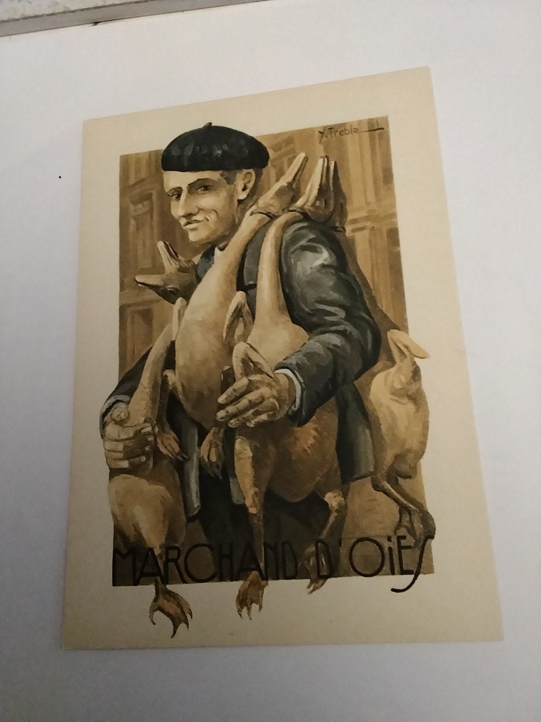 Oude Ansichtkaart: Marchand d'Oies - Figuren du Terroir, Ophalen of Verzenden, Voor 1920, Gelopen