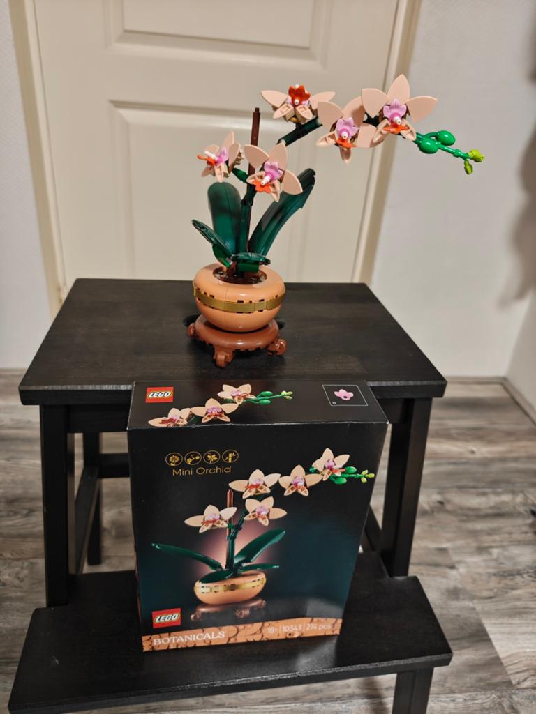 LEGO Botanicals mini orchidee 10343, Ophalen, Zo goed als nieuw