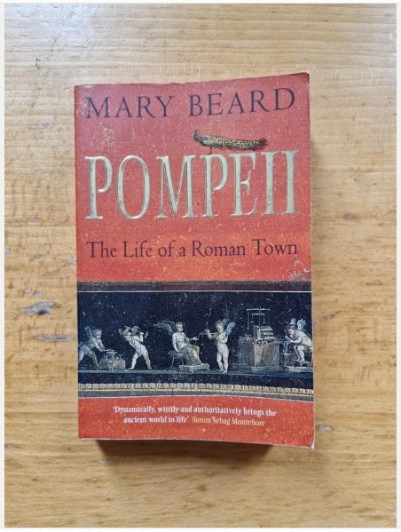 Pompeii The Life of a Roman Town - Mary Beard, Boeken, Ophalen of Verzenden, 14e eeuw of eerder, Zo goed als nieuw, Europa