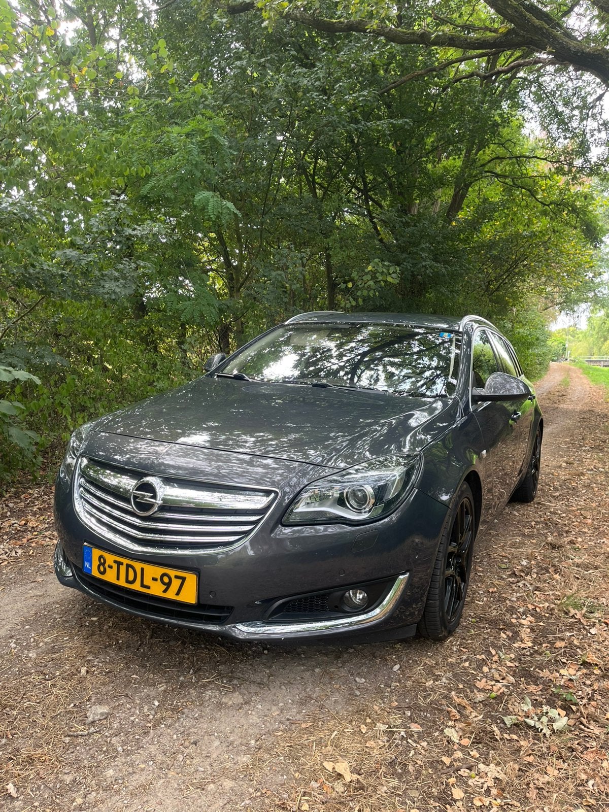 Opel Insignia 1.4 Turbo 103KW Sports Tourer 2014 Grijs, Zwart, 4 cilinders, Handgeschakeld, 1364 cc
