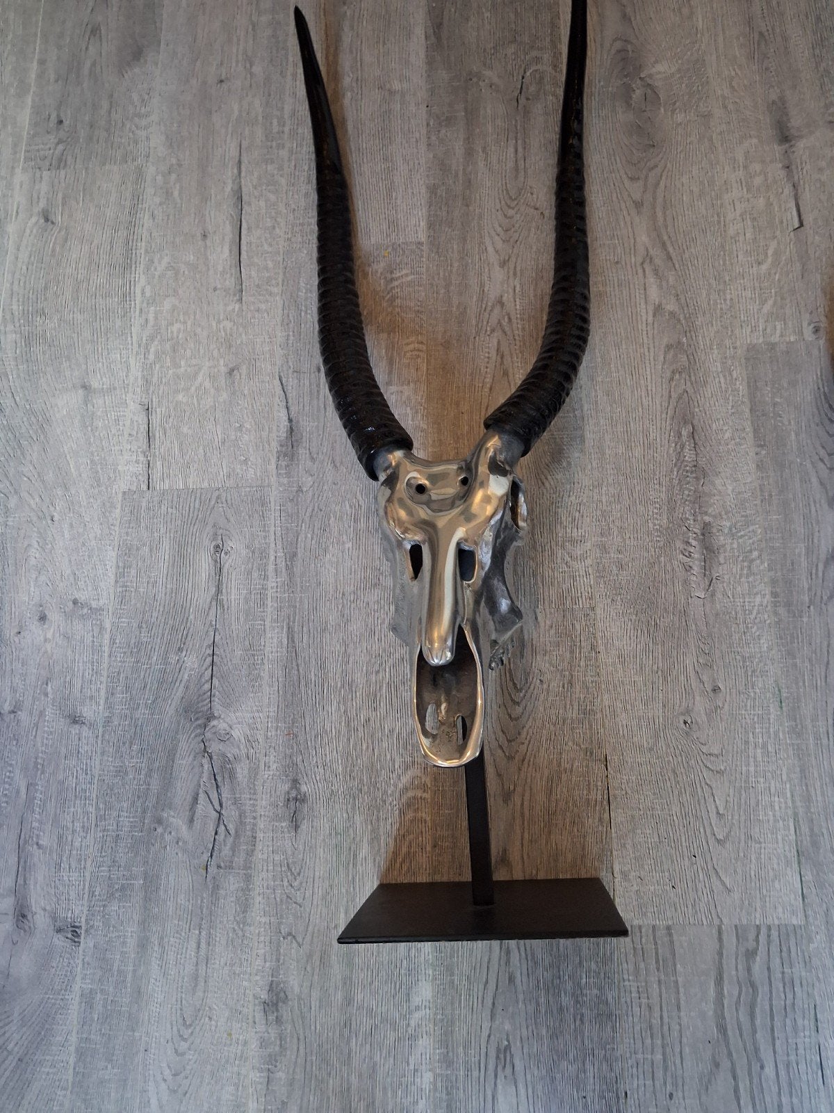 Grote aluminium Schedel., Ophalen, Zo goed als nieuw, Decoratieobject