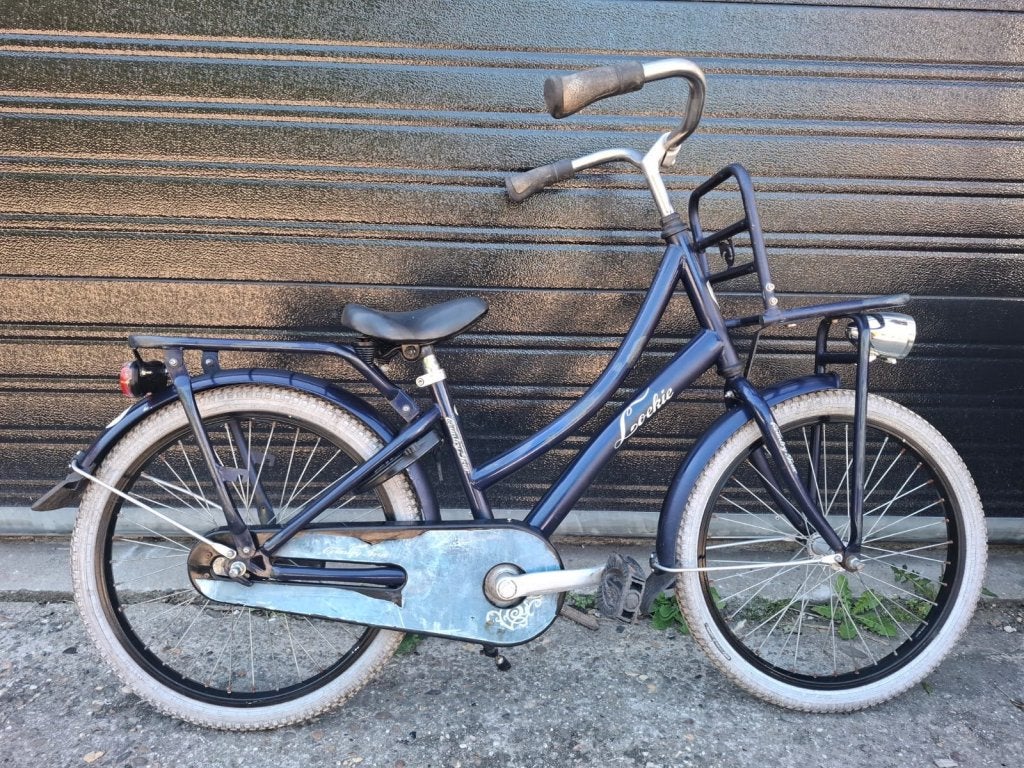 20 inch Loekie country meisjesfiets, Terugtraprem, Loekie, Niet ingevuld, 20 inch