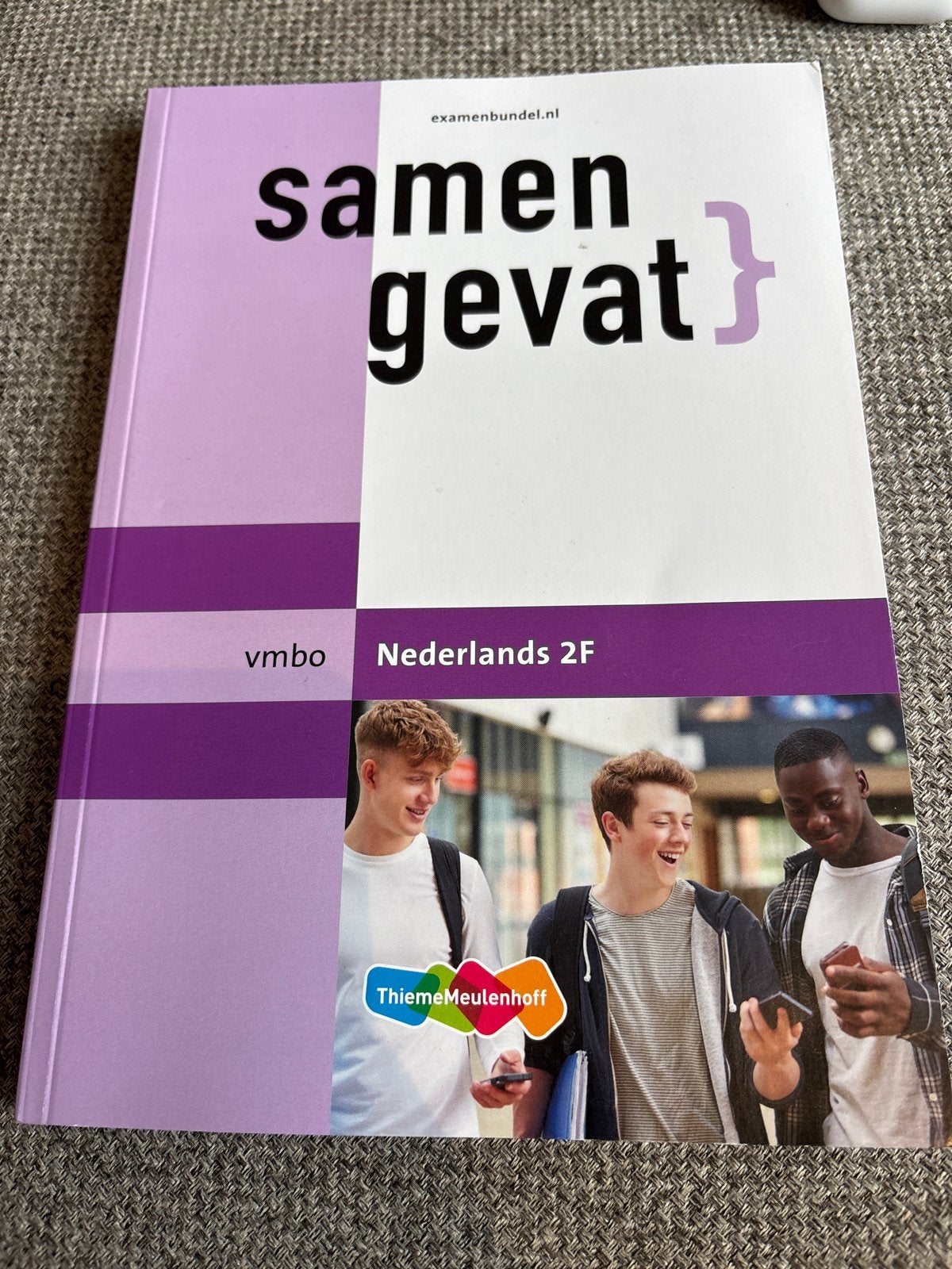 Samengevat VMBO Nederlands 2F - Examenbundel ThiemeMeulenhof, Boeken, Schoolboeken, Ophalen of Verzenden, Zo goed als nieuw, VMBO
