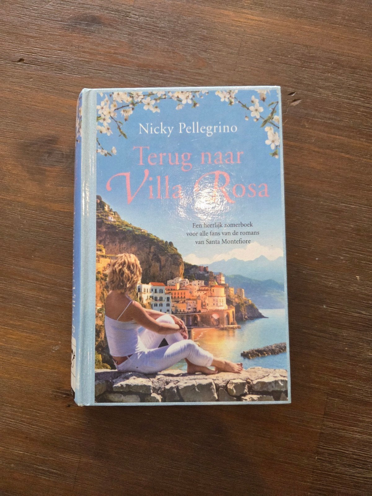 Terug naar Villa Rosa - Nicky Pellegrino, Boeken, Ophalen of Verzenden, Zo goed als nieuw, Nicky Pellegrino, Europa overig