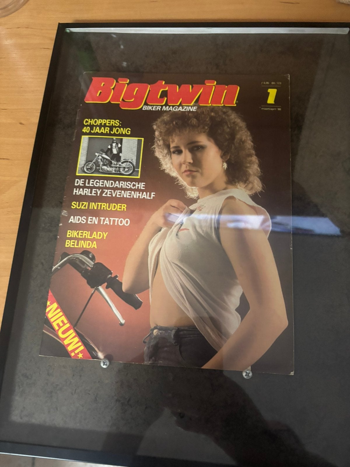 Te koop gehele serie Big-twin, harley Davidson, Ophalen of Verzenden, Gelezen