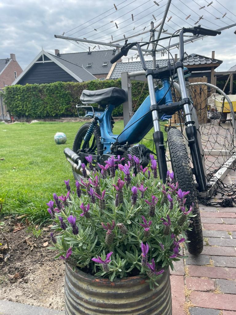 Mooie tomos a52 65 cc, Fietsen en Brommers, Ophalen