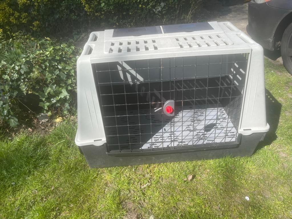 Super mooie  ruime grote honden vervoersbox, Ophalen of Verzenden, Zo goed als nieuw