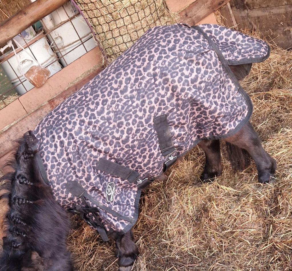 Regendeken maat 95 0gram, Ophalen of Verzenden, Zo goed als nieuw