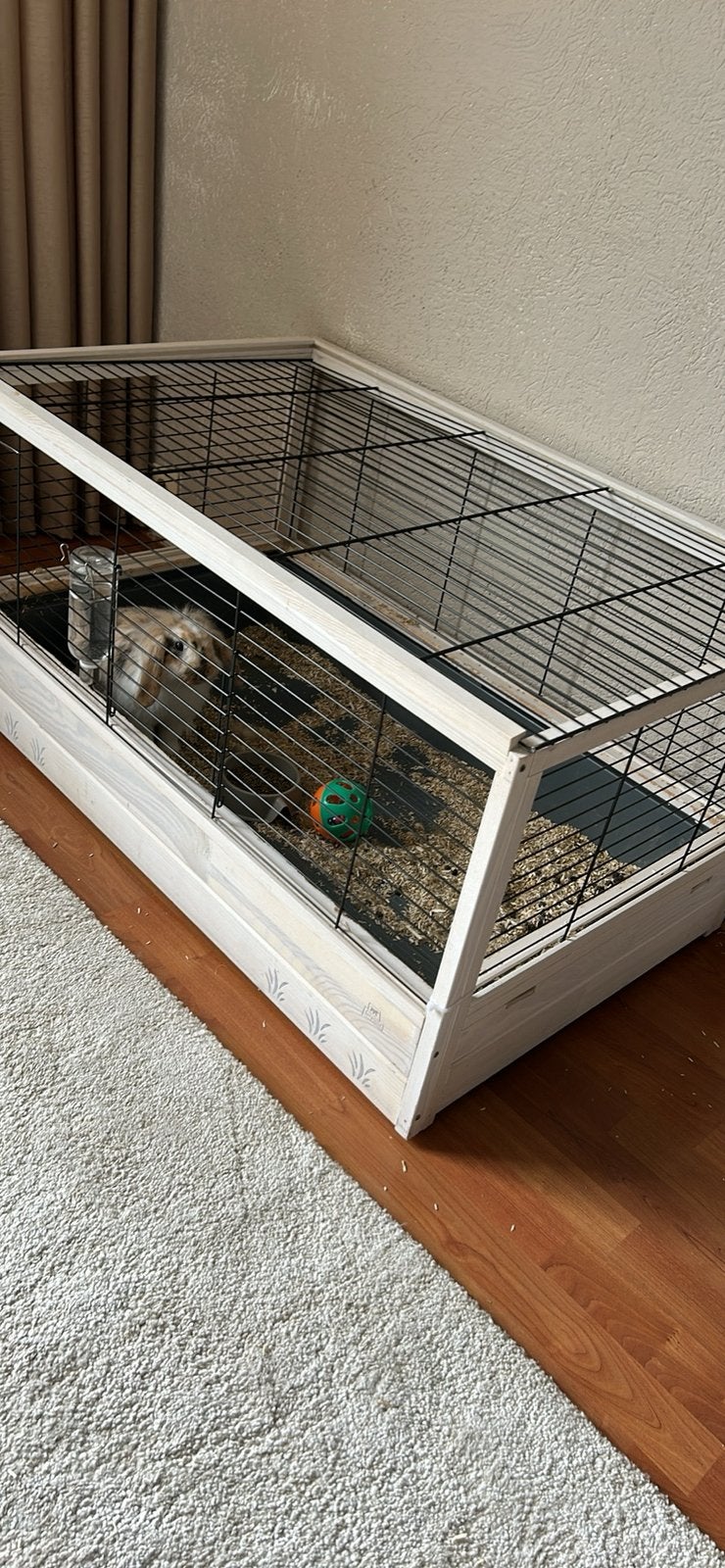 Hangoor, Dieren en Toebehoren, Knaagdieren en Konijnen | Hokken en Kooien, Ophalen, Gebruikt, Kooi, Minder dan 60 cm