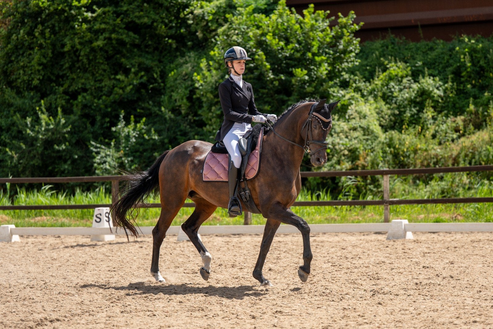 Dressuurtraining & opleiding sportpaard / pony Vaassen