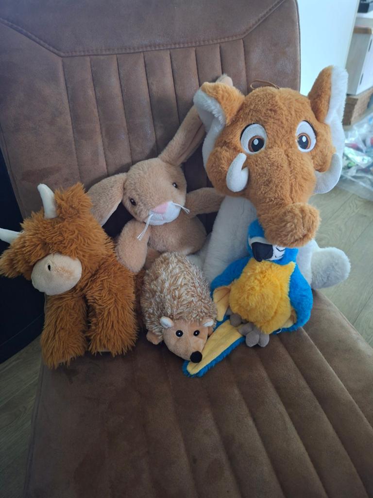 Leuke knuffelcollectie, Gebruikt, Ophalen of Verzenden, Middelgroot (20 tot 80 cm), Olifant