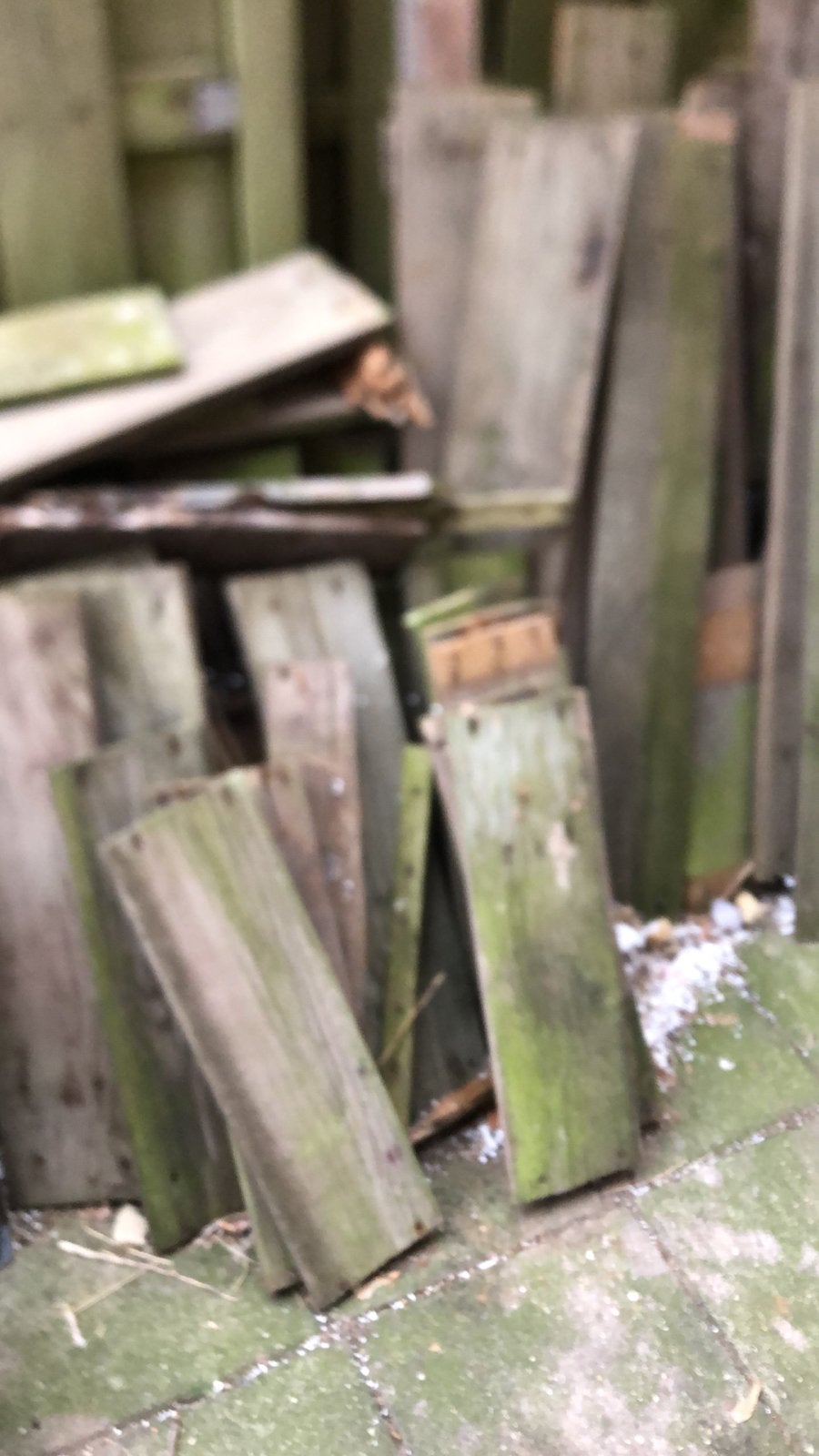 Gebruikte houten planken, diverse maten, Ophalen, Gebruikt, 25 tot 50 mm, Plank