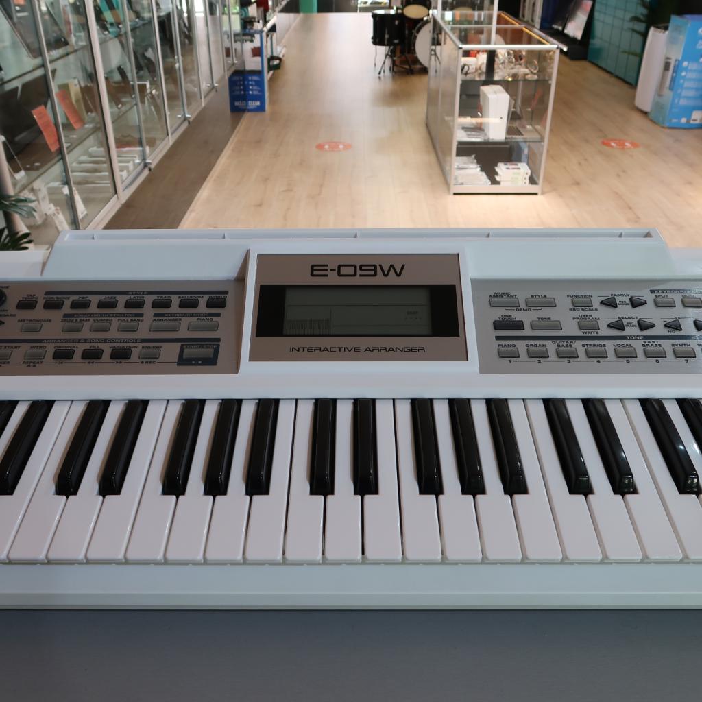Roland E-09W Interactive Arranger | in Prima Staat, Muziek en Instrumenten, Niet ingevuld, Zo goed als nieuw, Niet ingevuld, Niet ingevuld