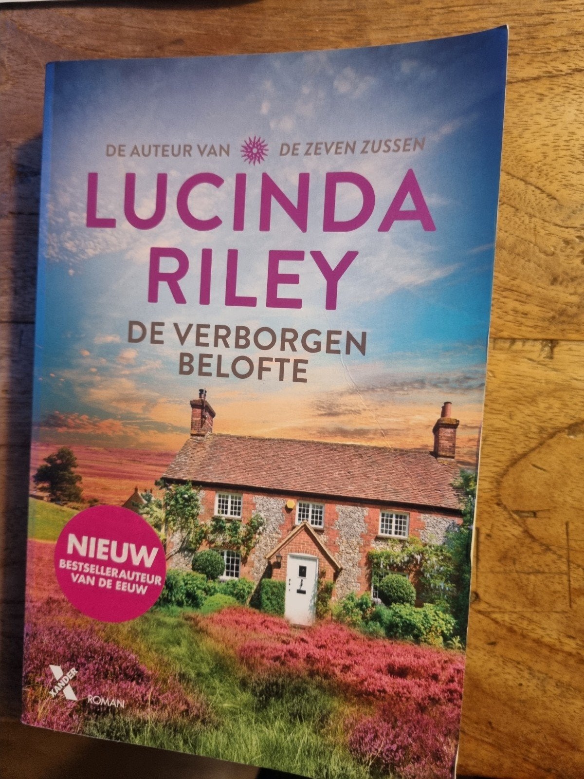 Lucinda Riley - De verborgen belofte, Boeken, Ophalen, Zo goed als nieuw, Lucinda Riley