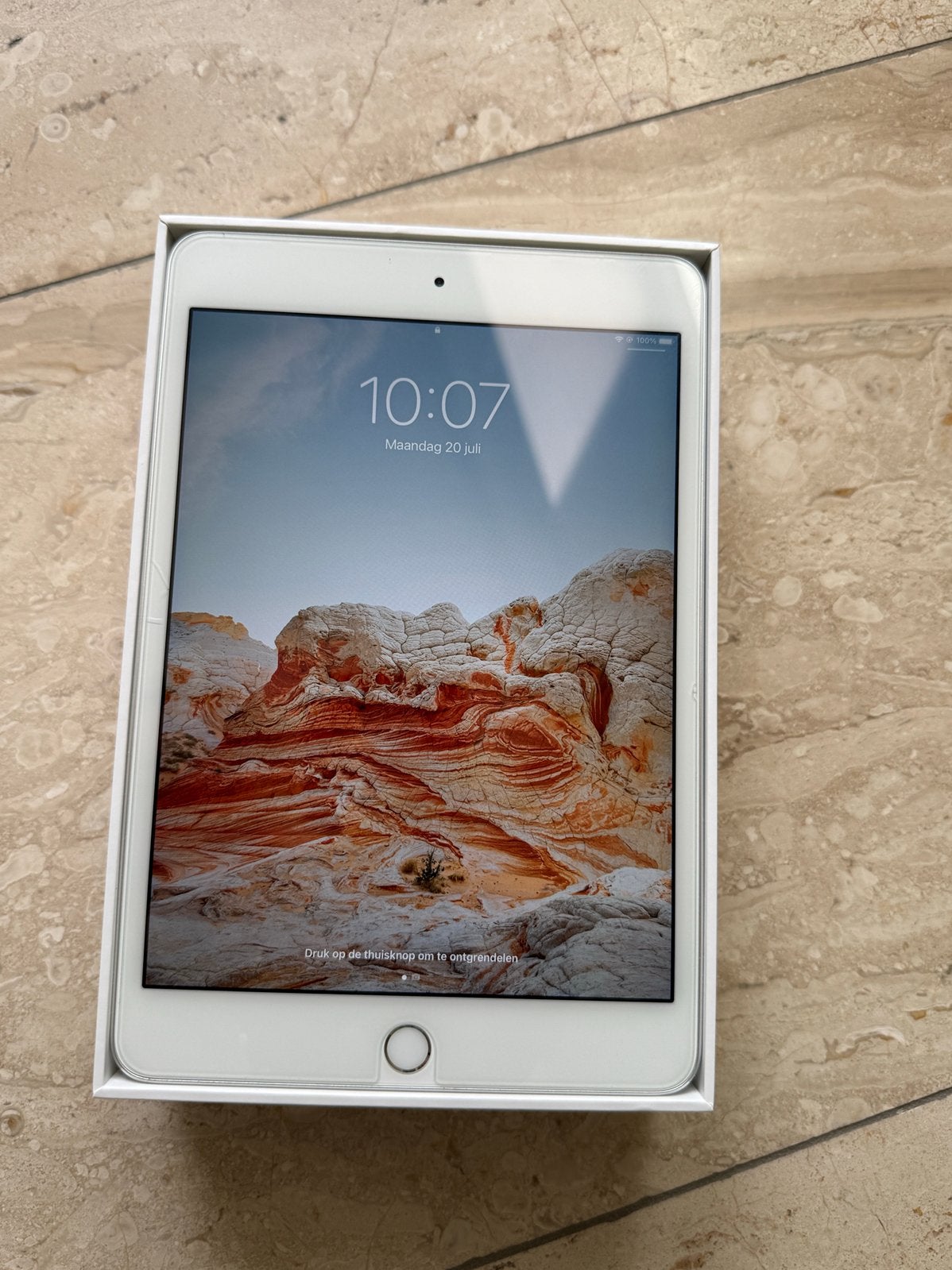 iPad mini 4, Gebruikt, Overige modellen, Ophalen of Verzenden, 64 GB