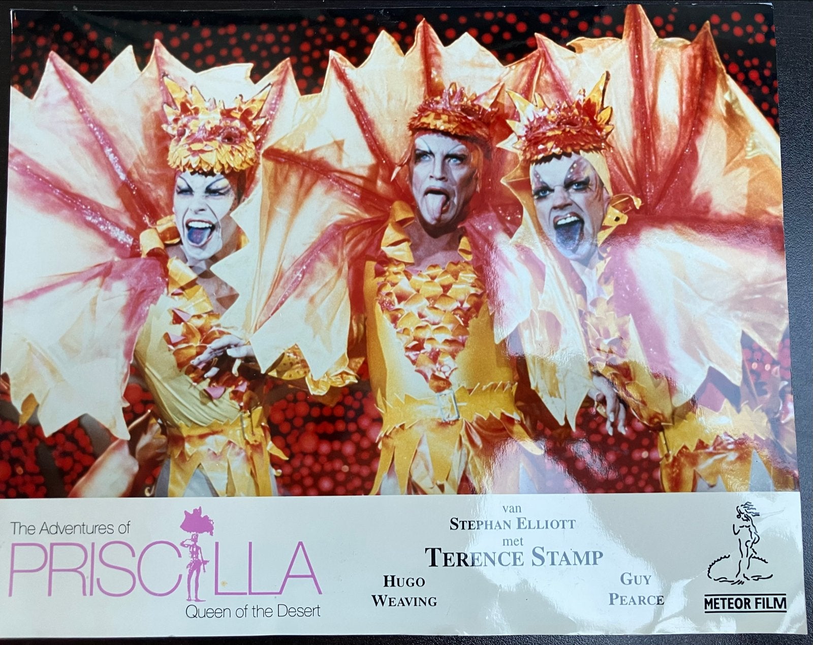 Foto The Adventures of Priscilla, Queen of the Desert (DVD), Ophalen of Verzenden, Gebruikt, Overige typen