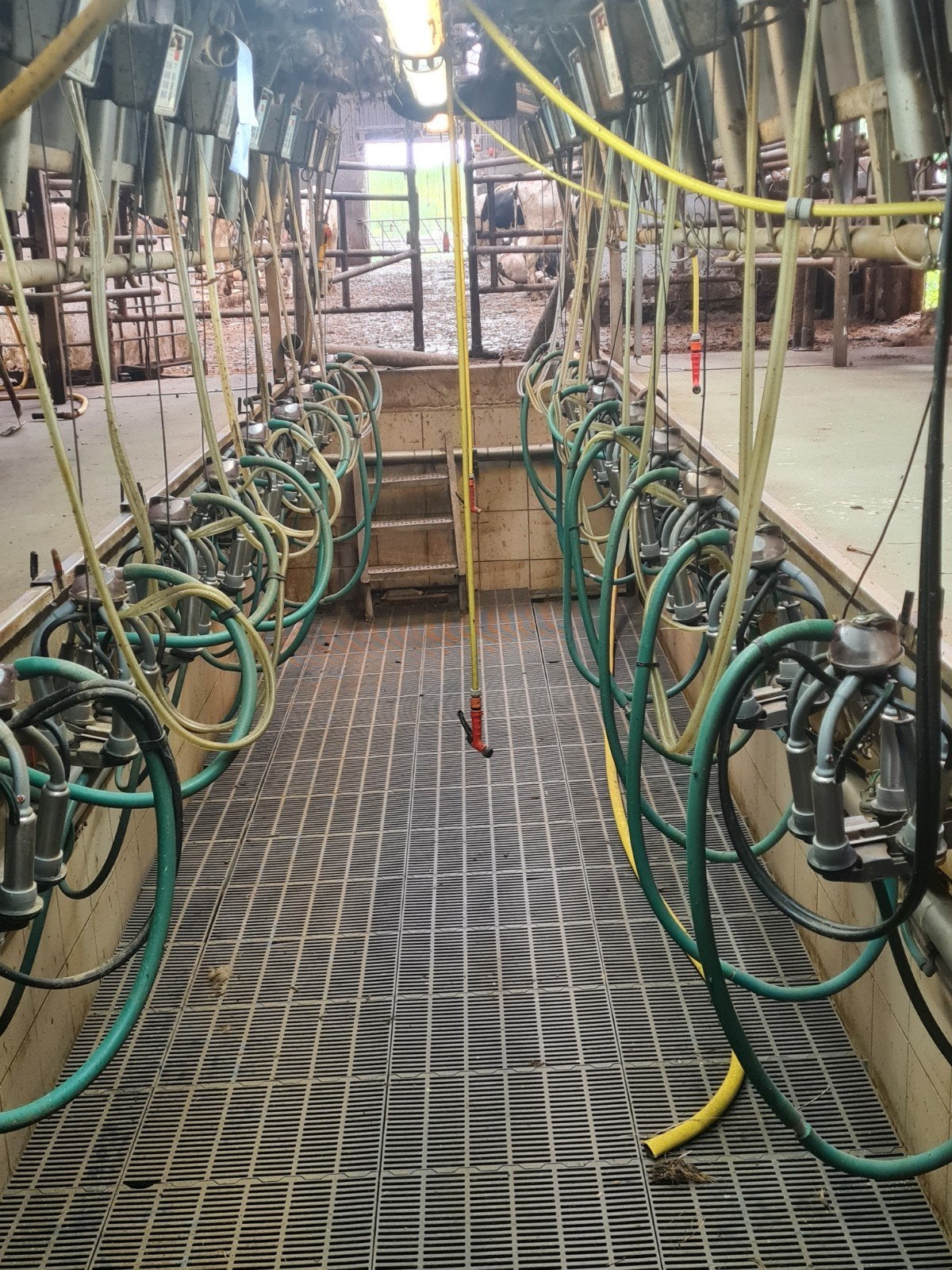 2x9 Zij aan zij melkstal - Complete melkinstallatie, Ophalen of Verzenden, Gebruikt, Tot 80 Pk, Tot 2500