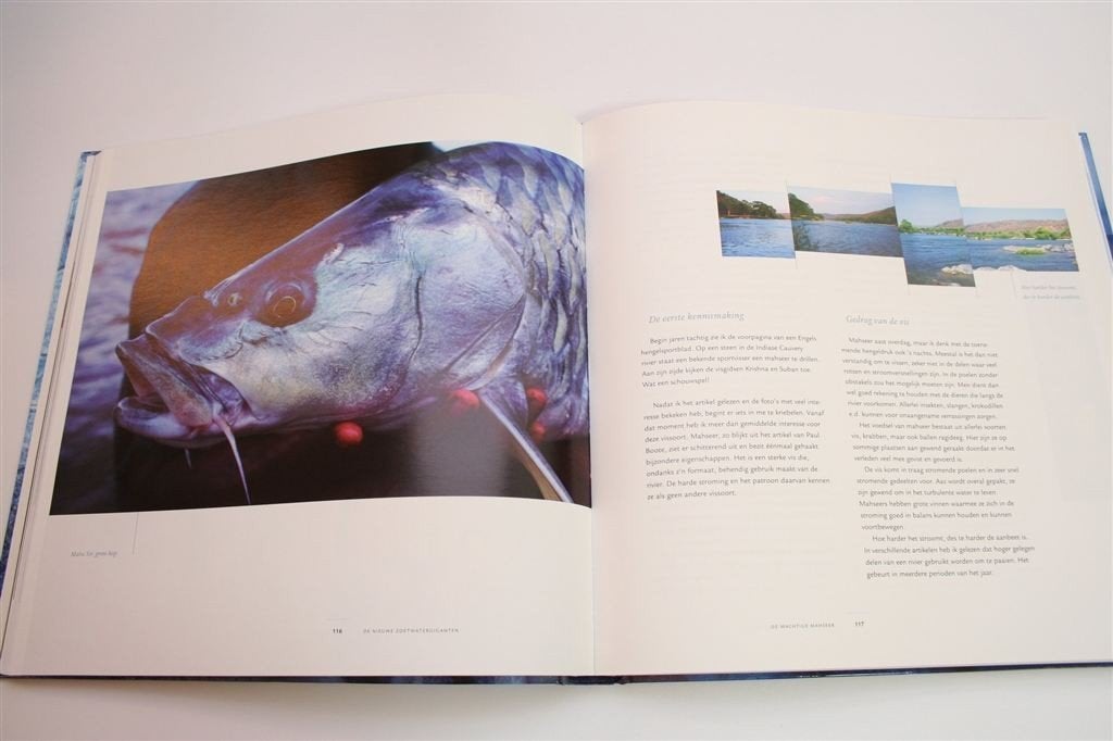 Vissen op Giganten — Meerval, Steur, Zalm & Meer [Nieuwstaat, Boeken, Ophalen of Verzenden, Zo goed als nieuw, Vissen