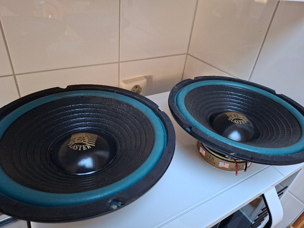 2 x bass speaker. zie foto's voor meer info., Audio, Tv en Foto, Overige merken, Subwoofer, Ophalen of Verzenden, Zo goed als nieuw
