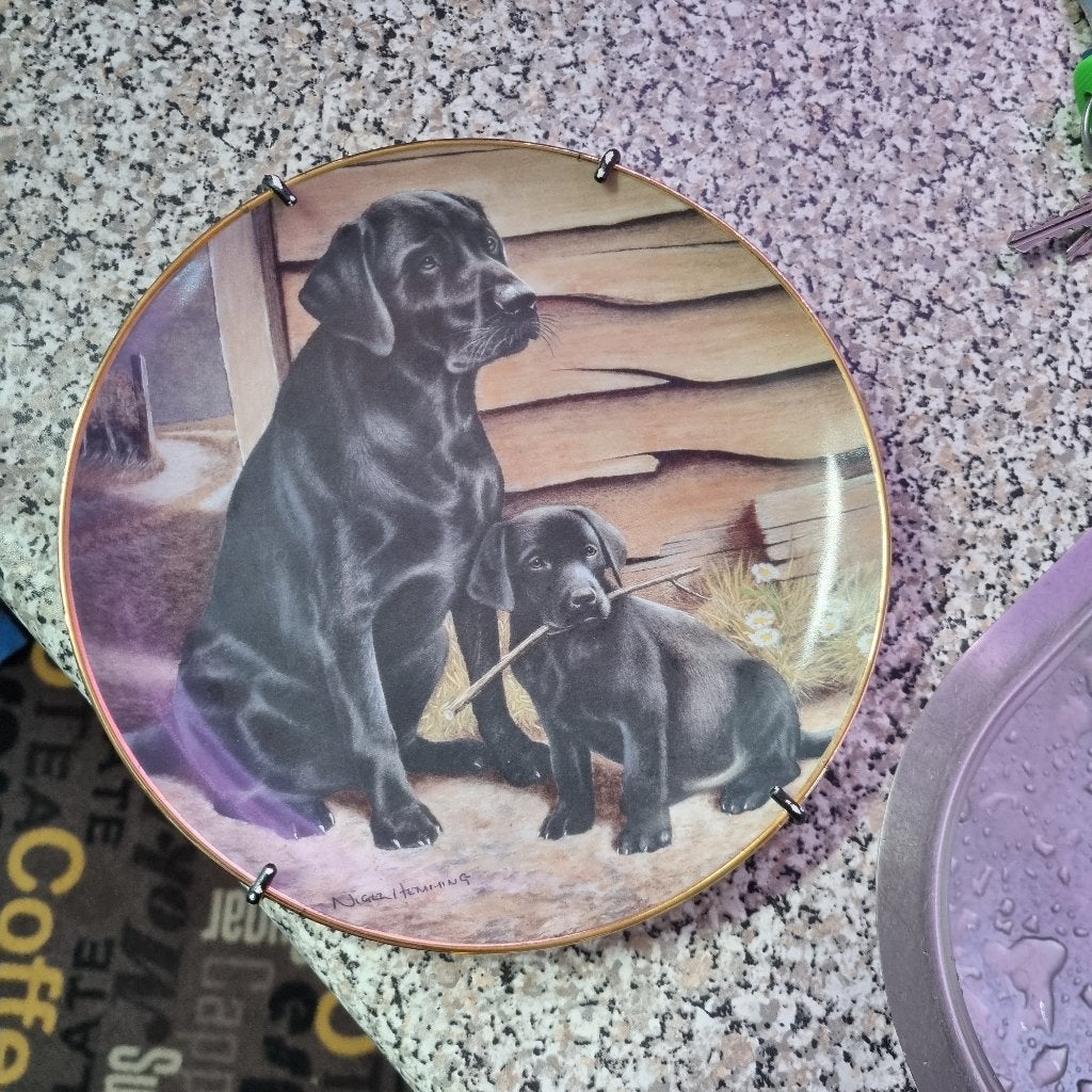 Honden bord, Ophalen of Verzenden, Gebruikt, Minder dan 50 cm, Schilderij