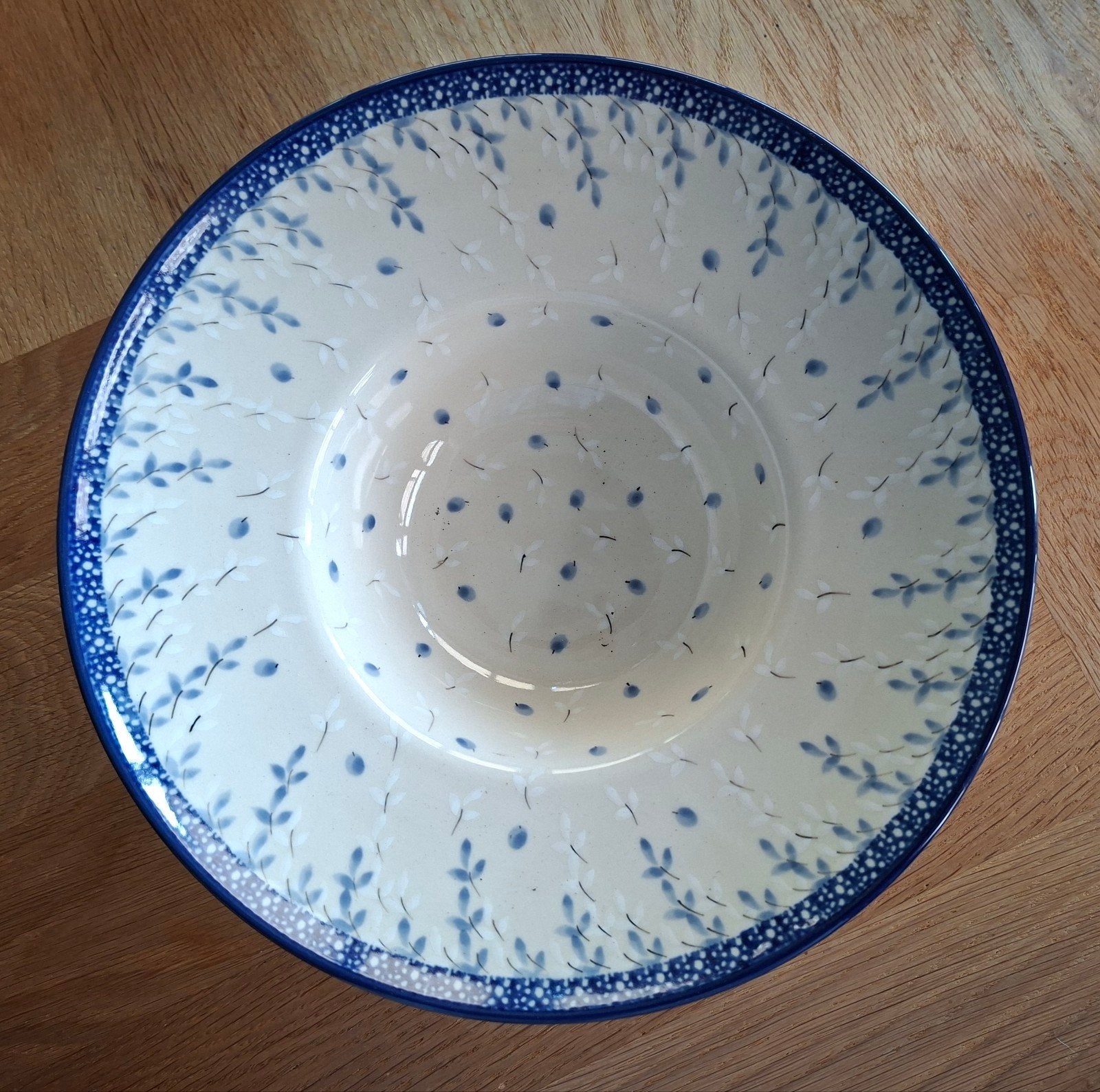 Bunzlau Castle  pastabord - 25 cm, ., Keramiek, Ophalen of Verzenden, Zo goed als nieuw