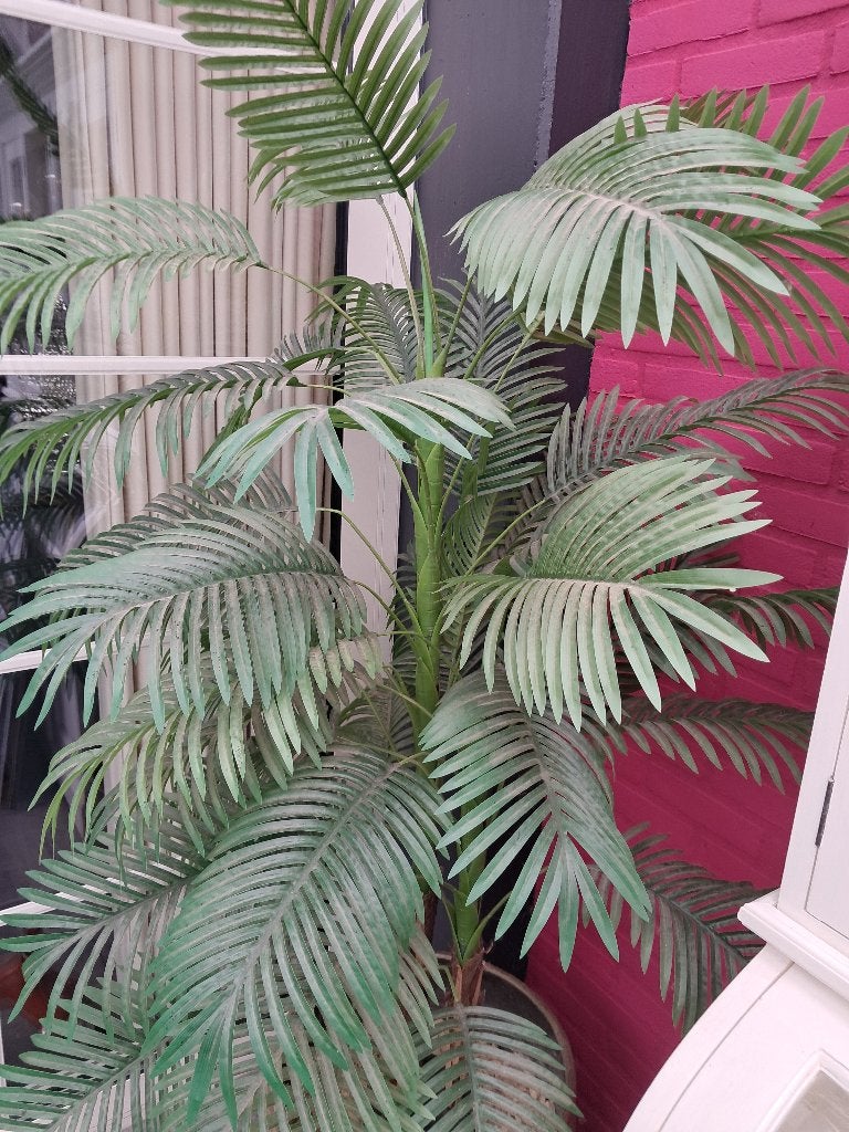 Kunstplanten, Ophalen, Binnen, Gebruikt, Kunstplant