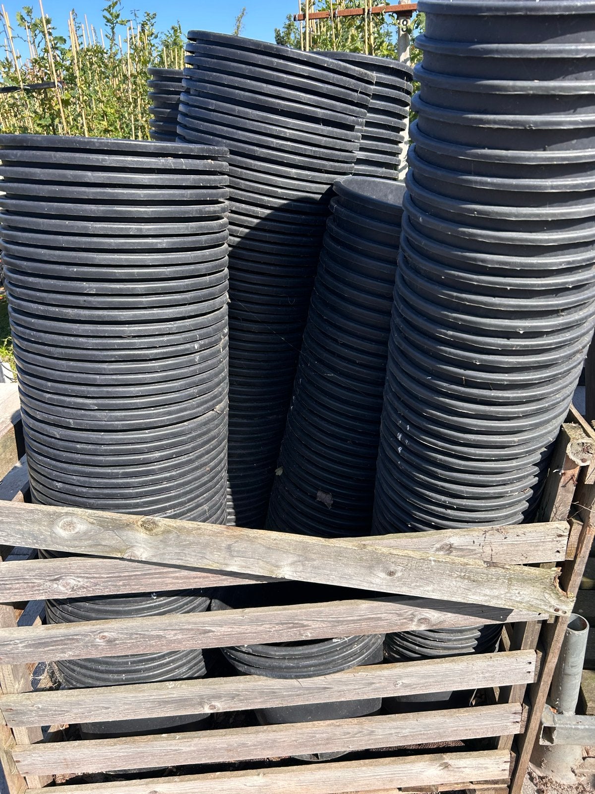 Diverse zwarte kunststof bloempotten - 10L & 12L, Tuin en Terras, Kunststof, Gebruikt, Rond, Minder dan 40 cm