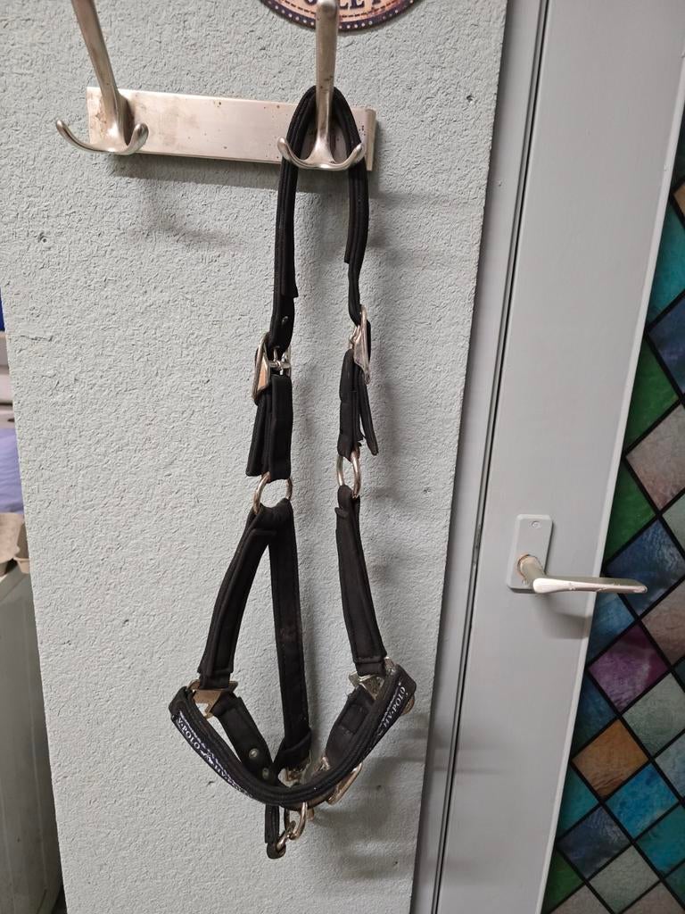 Halster hv polo maat cob, Ophalen of Verzenden, Zo goed als nieuw, Overige soorten