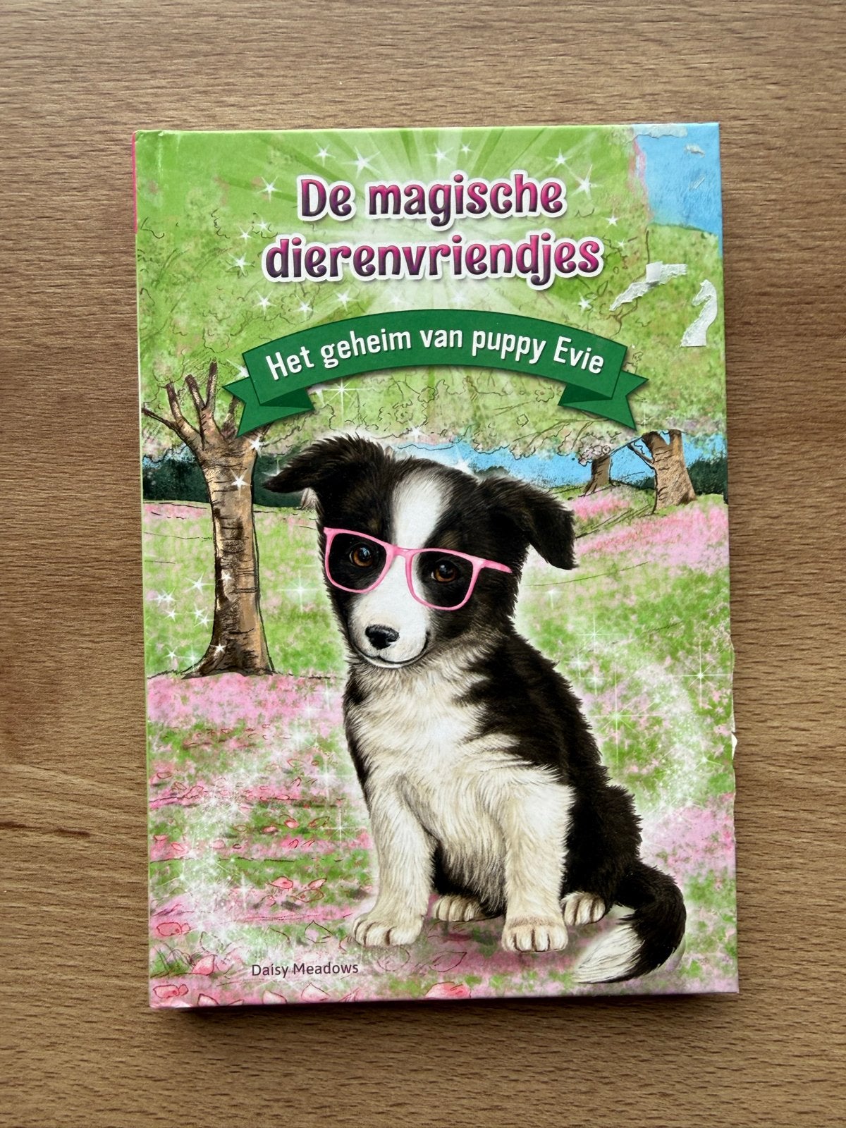 De magische dierenvriendjes - Het geheim van puppy Evie, Ophalen of Verzenden, Zo goed als nieuw, Fictie algemeen