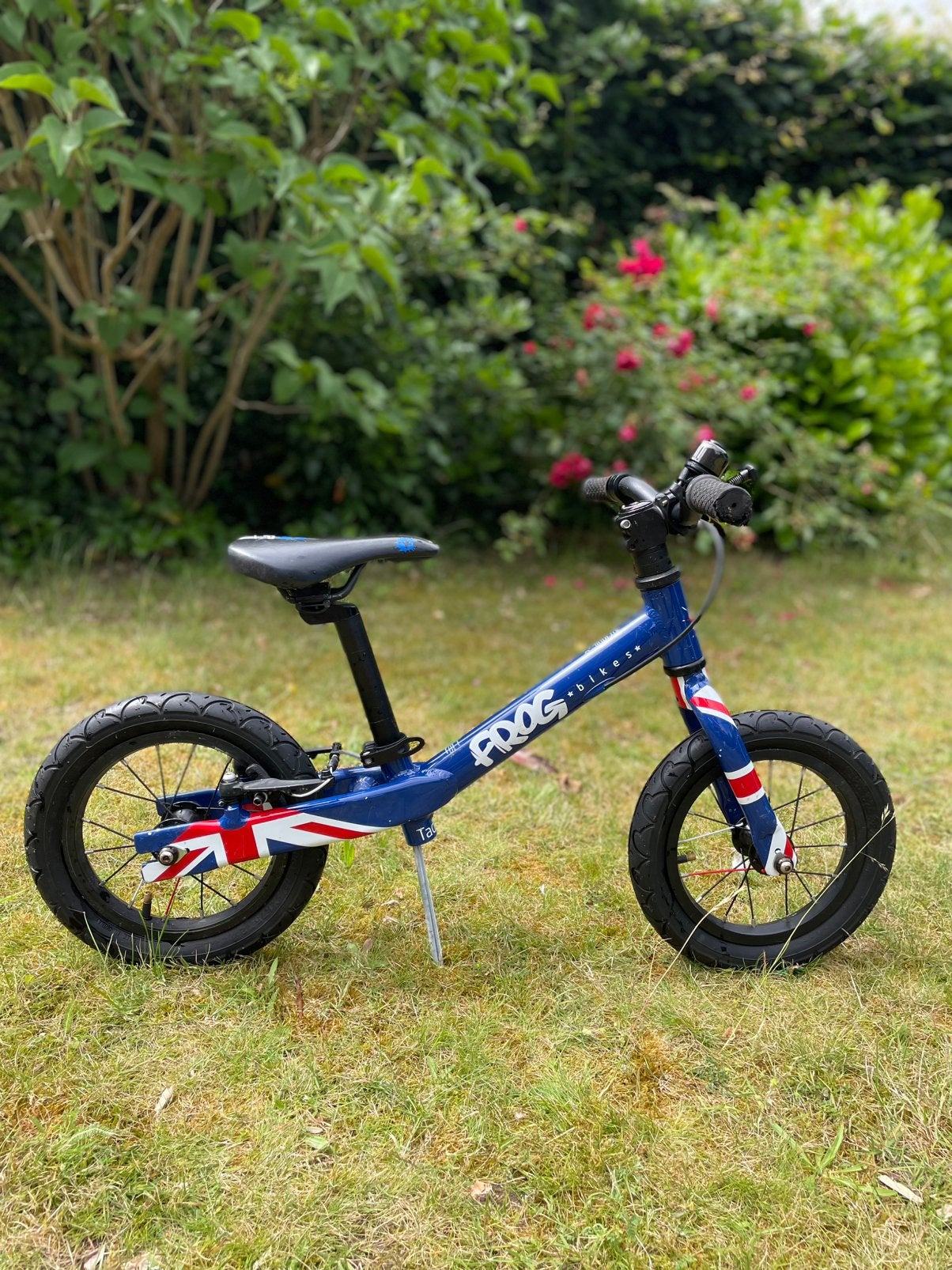 Frog Bikes Tadpole 12inch blauw, Ophalen of Verzenden, Gebruikt, Loopfiets